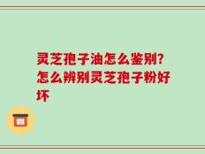 灵芝孢子油怎么鉴别？怎么辨别灵芝孢子粉好坏
