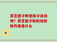 灵芝孢子粉煲鸽子汤功效？灵芝孢子粉的功效和作用是什么