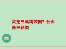 灵芝三萜功效图？什么是三萜类