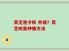 灵芝孢子粉 开袋？灵芝树苗种植方法