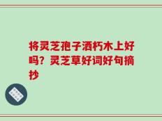 将灵芝孢子洒朽木上好吗？灵芝草好词好句摘抄