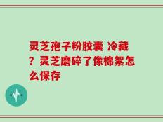 灵芝孢子粉胶囊 冷藏？灵芝磨碎了像棉絮怎么保存