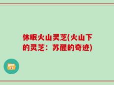 休眠火山灵芝(火山下的灵芝：苏醒的奇迹)