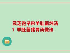 灵芝孢子粉羊肚菌炖汤？羊肚菌猪骨汤做法