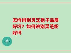 怎样辨别灵芝孢子品质好坏？如何辨别灵芝粉好坏