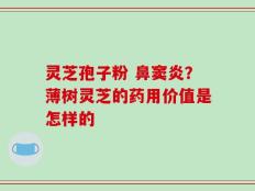 灵芝孢子粉 鼻窦炎？薄树灵芝的药用价值是怎样的
