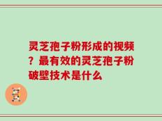 灵芝孢子粉形成的视频？最有效的灵芝孢子粉破壁技术是什么