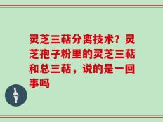灵芝三萜分离技术？灵芝孢子粉里的灵芝三萜和总三萜，说的是一回事吗