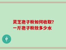 灵芝孢子粉如何收取？一斤孢子粉放多少水