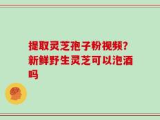 提取灵芝孢子粉视频？新鲜野生灵芝可以泡酒吗