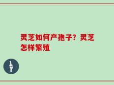 灵芝如何产孢子？灵芝怎样繁殖