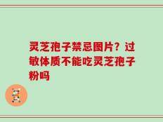 灵芝孢子禁忌图片？过敏体质不能吃灵芝孢子粉吗
