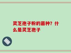 灵芝孢子粉的菌种？什么是灵芝孢子