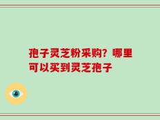 孢子灵芝粉采购？哪里可以买到灵芝孢子