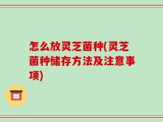 怎么放灵芝菌种(灵芝菌种储存方法及注意事项)