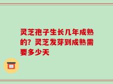 灵芝孢子生长几年成熟的？灵芝发芽到成熟需要多少天