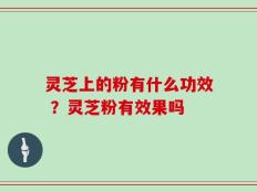 灵芝上的粉有什么功效 ？灵芝粉有效果吗