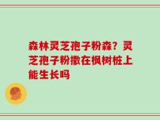 森林灵芝孢子粉森？灵芝孢子粉撒在枫树桩上能生长吗