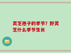 灵芝孢子的季节？野灵芝什么季节生长