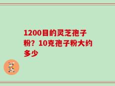 1200目的灵芝孢子粉？10克孢子粉大约多少