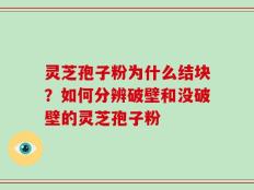 灵芝孢子粉为什么结块？如何分辨破壁和没破壁的灵芝孢子粉