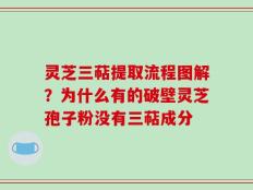 灵芝三萜提取流程图解？为什么有的破壁灵芝孢子粉没有三萜成分
