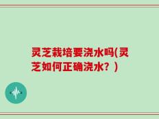 灵芝栽培要浇水吗(灵芝如何正确浇水？)