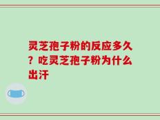 灵芝孢子粉的反应多久？吃灵芝孢子粉为什么出汗