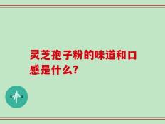 灵芝孢子粉的味道和口感是什么？