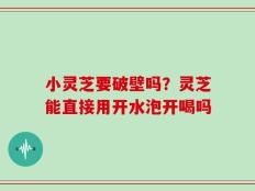 小灵芝要破壁吗？灵芝能直接用开水泡开喝吗