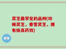 灵芝最罕见的品种(珍稀灵芝，香雪灵芝，拥有极高药效)