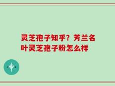 灵芝孢子知乎？芳兰名叶灵芝孢子粉怎么样