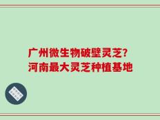 广州微生物破壁灵芝？河南最大灵芝种植基地