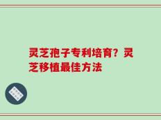 灵芝孢子专利培育？灵芝移植最佳方法