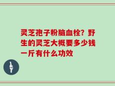 灵芝孢子粉脑血栓？野生的灵芝大概要多少钱一斤有什么功效