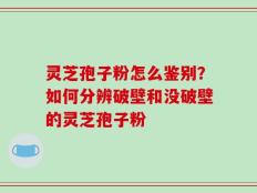 灵芝孢子粉怎么鉴别？如何分辨破壁和没破壁的灵芝孢子粉