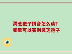 灵芝孢子拼音怎么读？哪里可以买到灵芝孢子