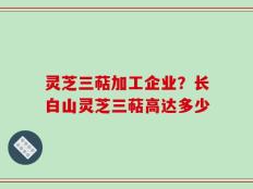 灵芝三萜加工企业？长白山灵芝三萜高达多少