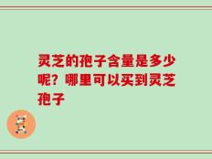 灵芝的孢子含量是多少呢？哪里可以买到灵芝孢子