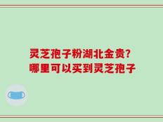 灵芝孢子粉湖北金贵？哪里可以买到灵芝孢子