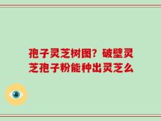 孢子灵芝树图？破壁灵芝孢子粉能种出灵芝么