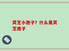 灵芝小孢子？什么是灵芝孢子