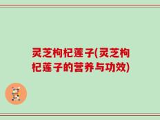 灵芝枸杞莲子(灵芝枸杞莲子的营养与功效)