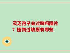 灵芝孢子会过敏吗图片？植物过敏原有哪些