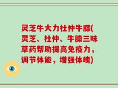 灵芝牛大力杜仲牛膝(灵芝、杜仲、牛膝三味草药帮助提高免疫力，调节体能，增强体魄)