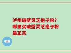 泸州破壁灵芝孢子粉？哪里买破壁灵芝孢子粉最正宗