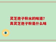 灵芝孢子粉水的味道？真灵芝孢子粉是什么味