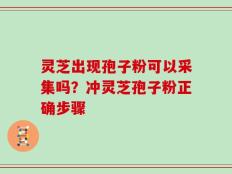 灵芝出现孢子粉可以采集吗？冲灵芝孢子粉正确步骤