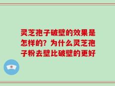 灵芝孢子破壁的效果是怎样的？为什么灵芝孢子粉去壁比破壁的更好