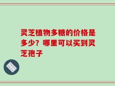 灵芝植物多糖的价格是多少？哪里可以买到灵芝孢子